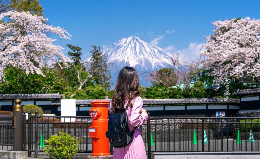 tourist looking fuji mountain cherry blossom spring fujinomiya japan 335224 185 e1704434917582